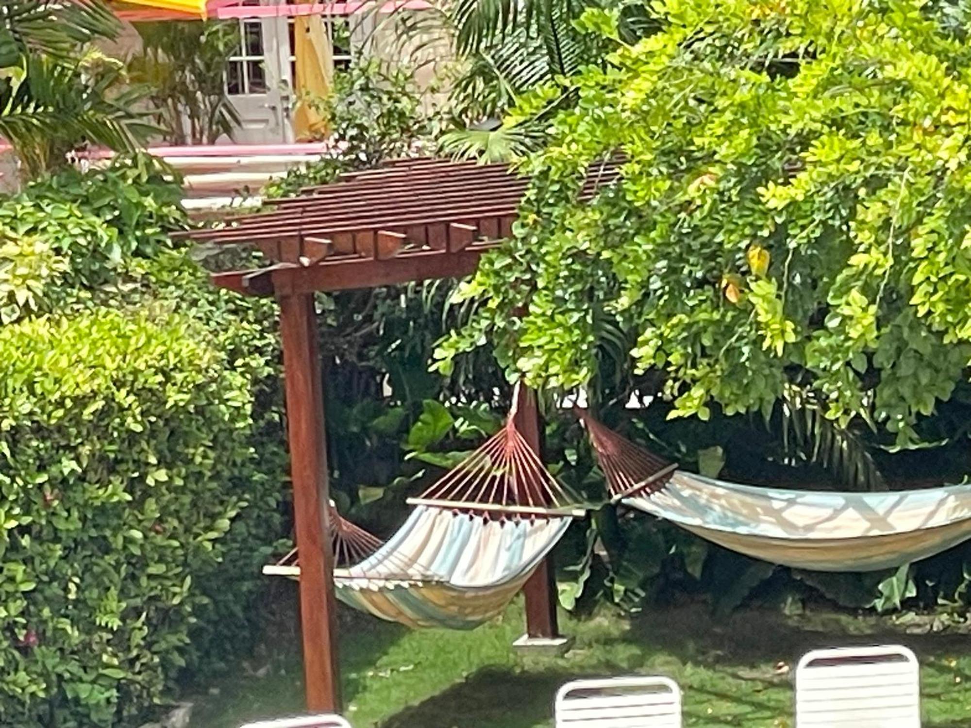 The Monteray Hotel Κράιστ Τσερτς Εξωτερικό φωτογραφία